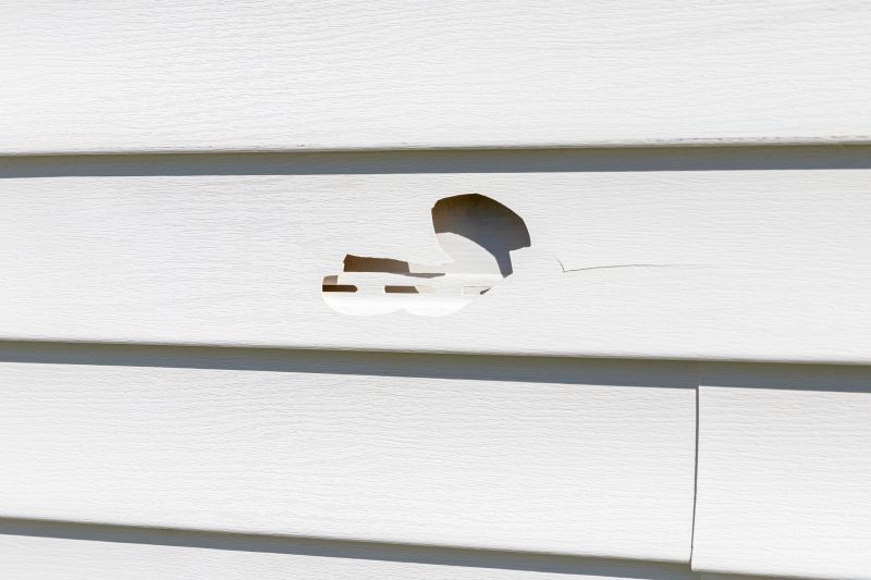 Vinyl Siding Inspection